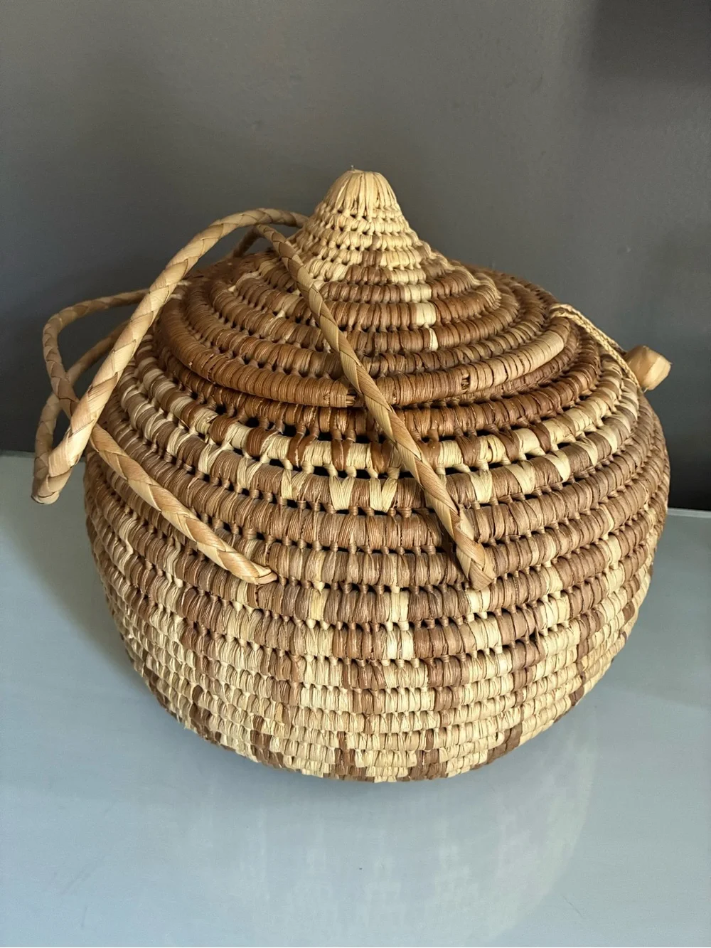 Handmade Lidded African Coiled Basket with Handles Natural Woven Storage Basket